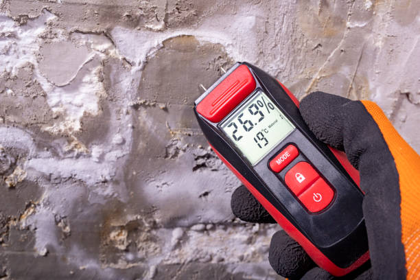 Best Mold Testing  in Arcadia, LA