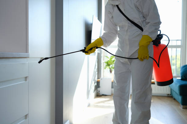 Best Mold Removal and Inspection  in Arcadia, LA